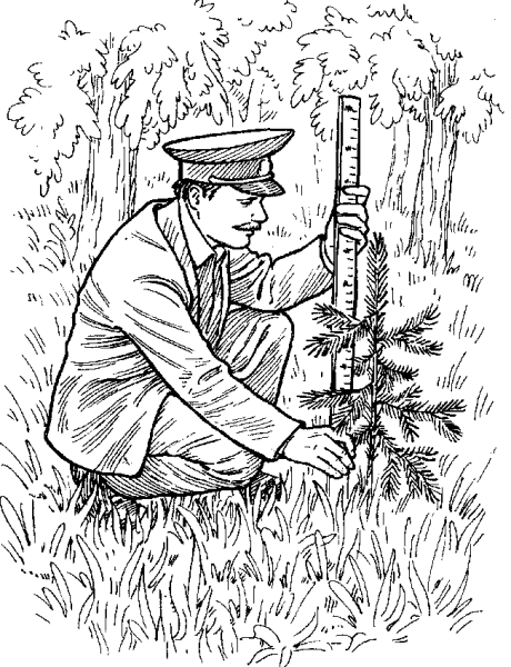 Профессия Егерь лесничий охотовед