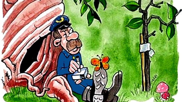 Лесовод рисунок