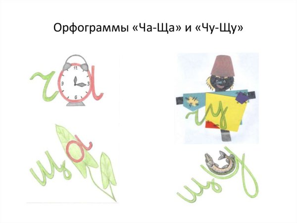 Иллюстрация на тему орфограммы