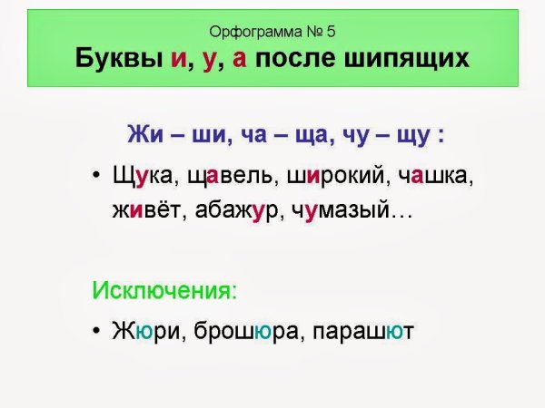 Орфограмма примеры слов