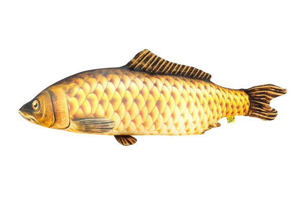 Сазан картинка для детей