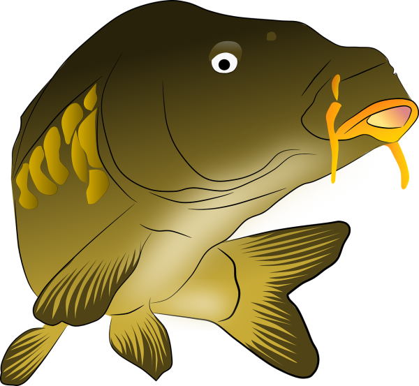 Карп нарисованный