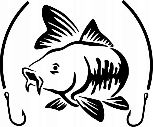 Сазан раскраска