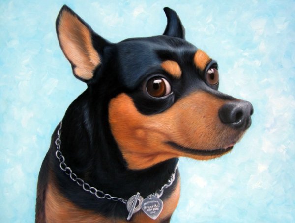 Карликовый пинчер арт