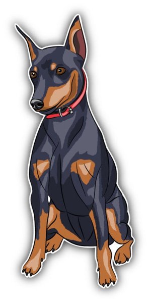 Тату Цвергпинчер карликовый пинчер Доберман