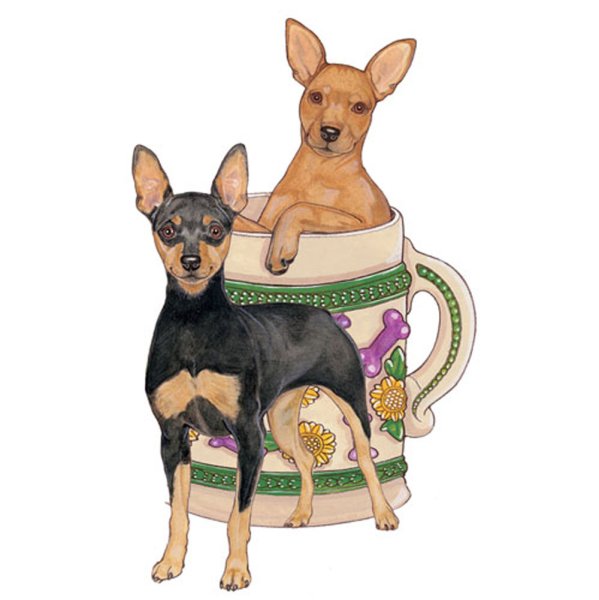 Карликовый пинчер вектор