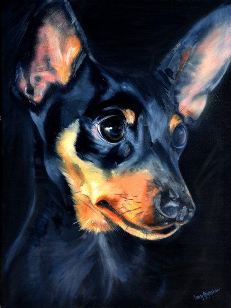 Цвергпинчер картина