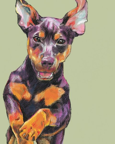 Доберман пинчер арт