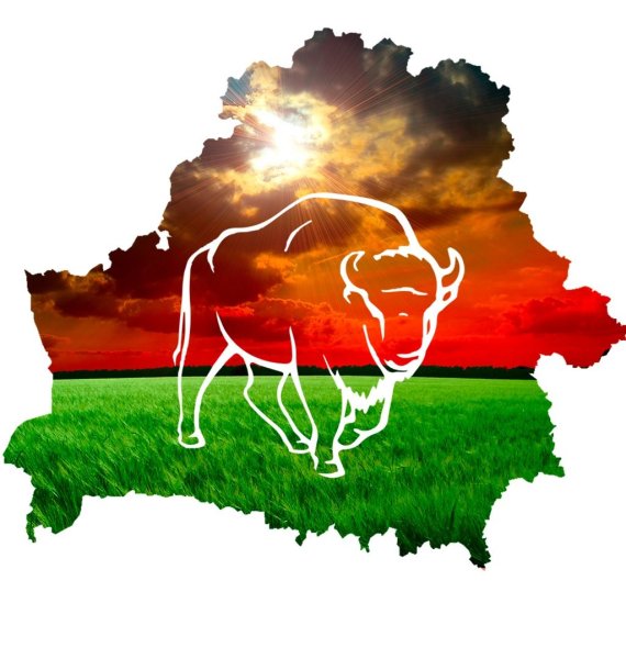 Рисунки на тему Беларусь моя Родина