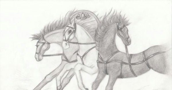 Тройка лошадей карандашом