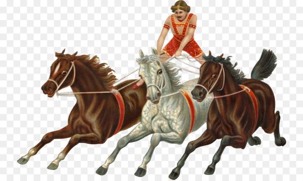 Тройка лошадей для детей