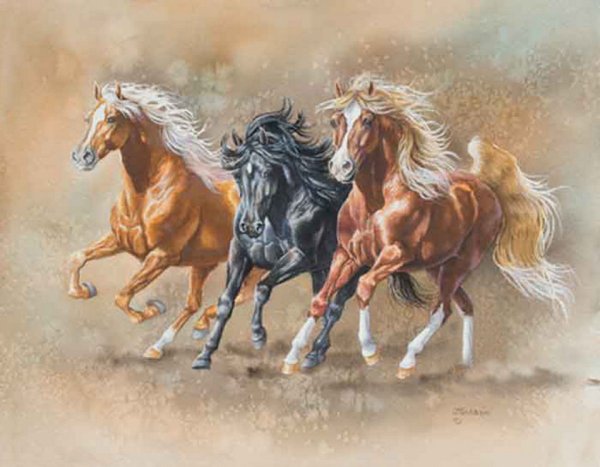 Джуди Гибсон художник картины лошади