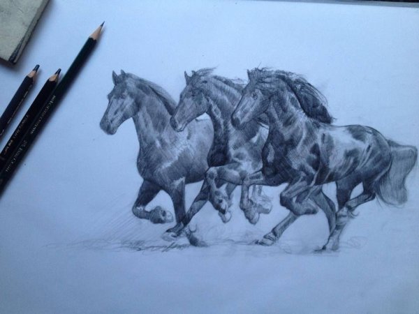 Лошадь рисунок карандашом