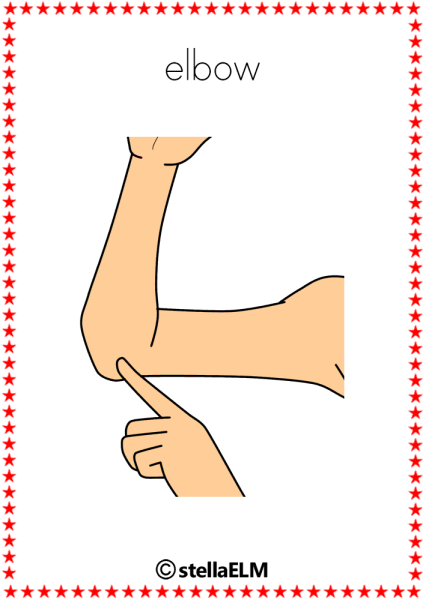 Локоть часть тела