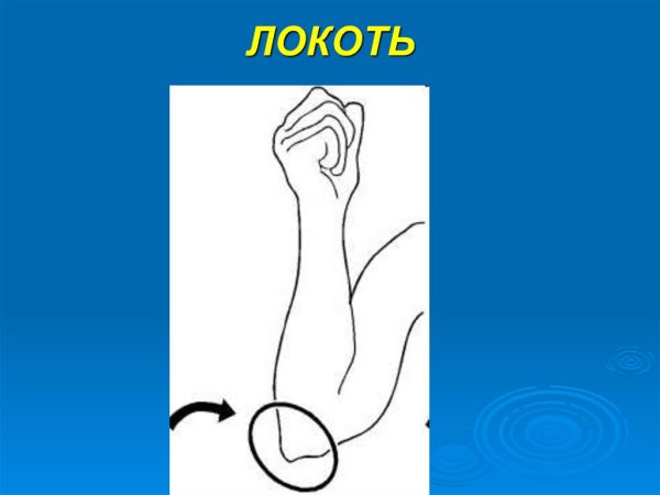 Локоть нарисовать