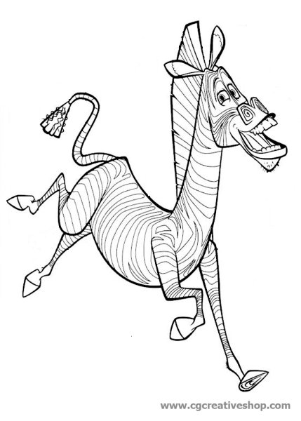 Зебра Марти из Мадагаскара