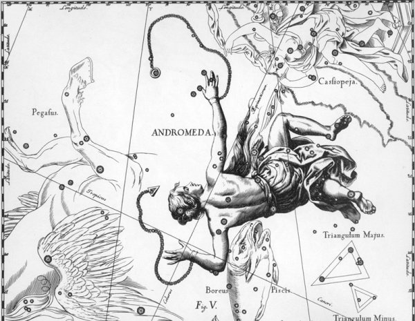 Созвездие Персей гевелий