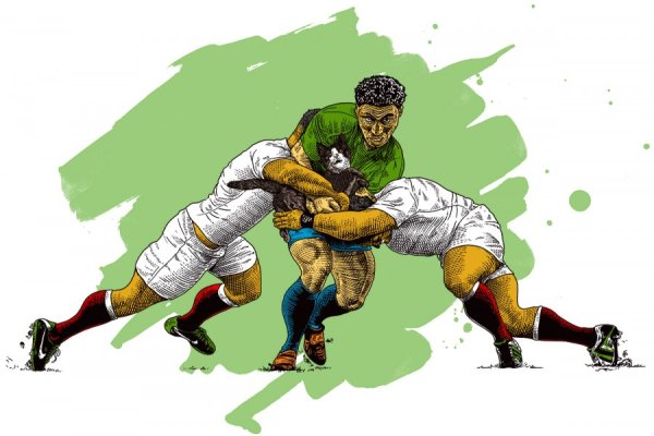 Регби иллюстрация