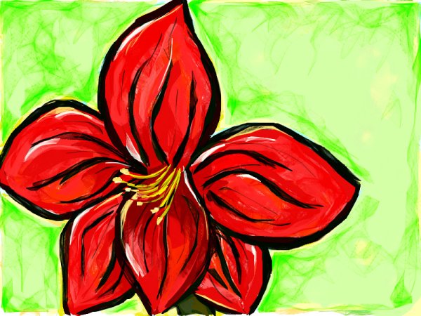 Гиппеаструм Виттатум