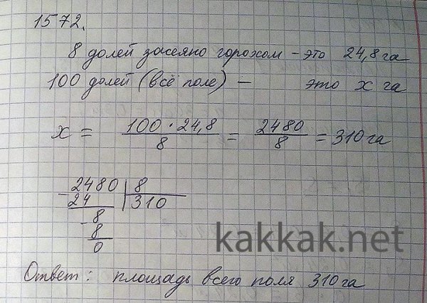 Из деревни вышел пешеход