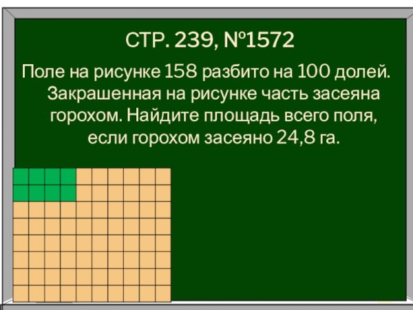 Двор разбит на 100 равных частей