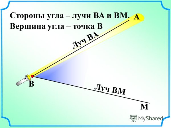 Начерти прямую отрезок и Луч 1 класс