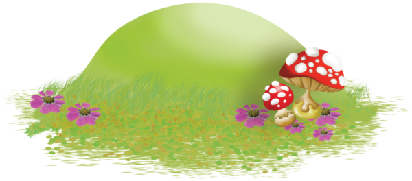 Лесная Поляна на белом фоне