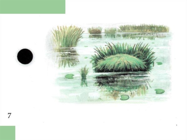 Кочка иллюстрация