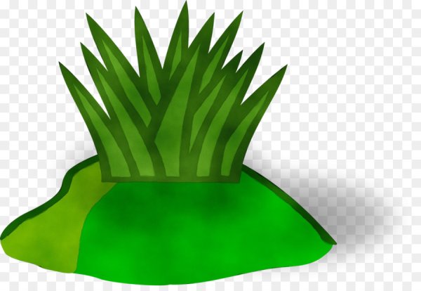 Растение мультяшный без фона