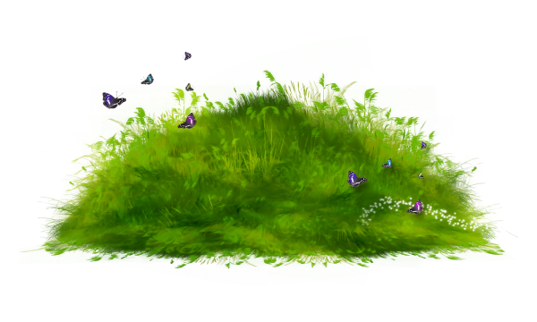 Полянка на белом фоне