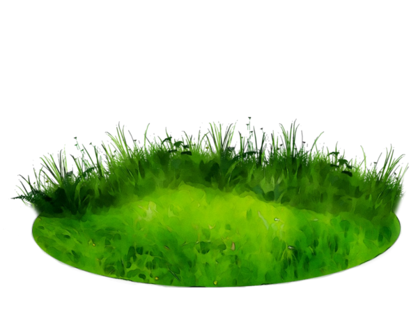 Лужайки мультяшные