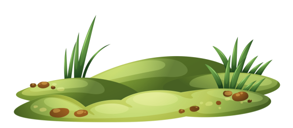 Болото на белом фоне