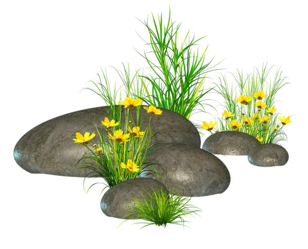 Альпийская горка на прозрачном фоне