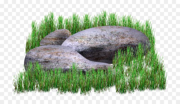 Ландшафтный камень на белом фоне