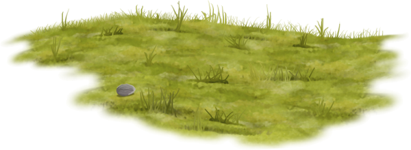 Болото на прозрачном фоне