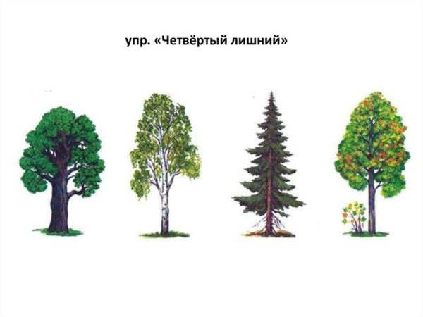 Мультяшный пейзаж с деревьями