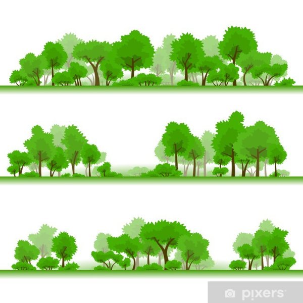 Тайга смешанный лес широколиственный лес 4 класс