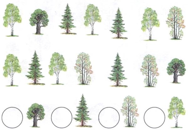 Лес задания для детей