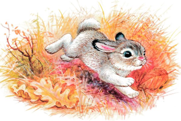 Листопадничек Соколов-Микитов