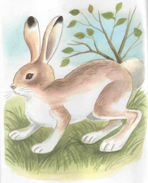 Листопадничек Соколов-Микитов