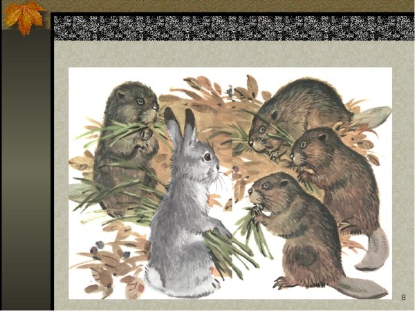 Листопадничек иллюстрации