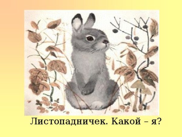 "Листопадничек" Соколов-Микитов обложка