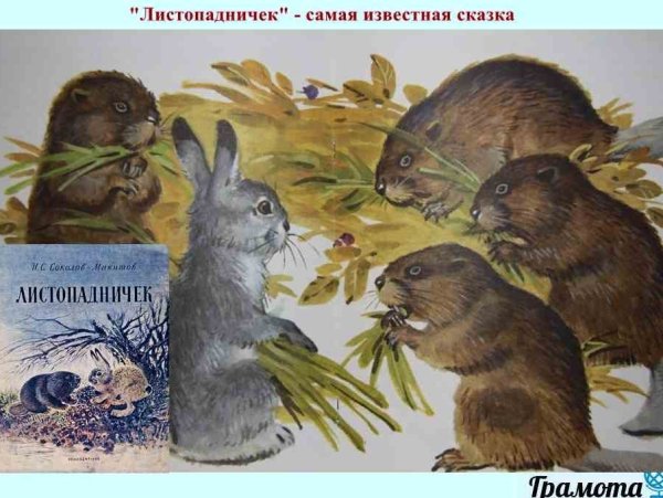 Заяц на прозрачном фоне