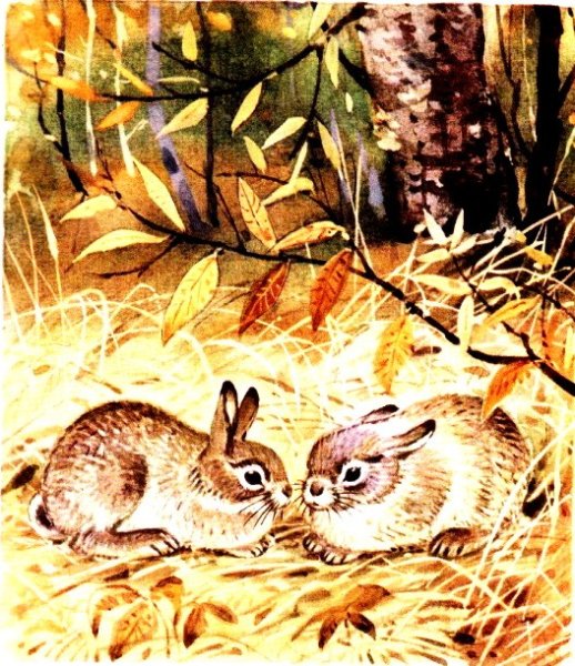 Листопадничек Соколов-Микитов заяц с зайчихой