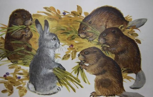 Заяц в осеннем лесу рисование