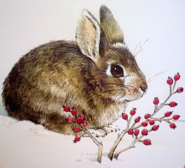 Соколов-Микитов Листопадничек рисунок карандашом