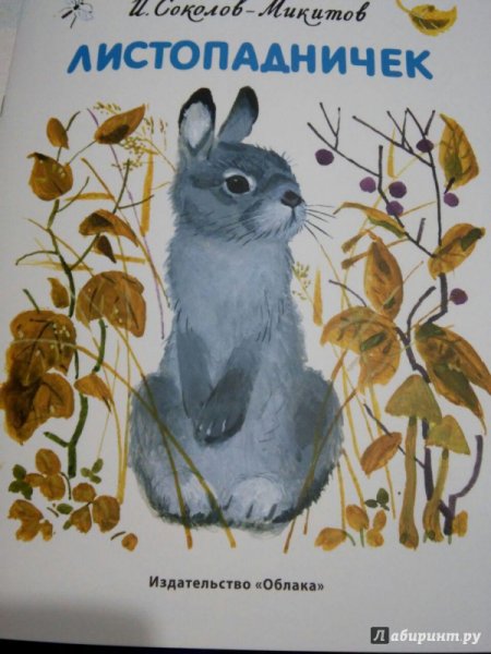 Листопадничек рисунок карандашом