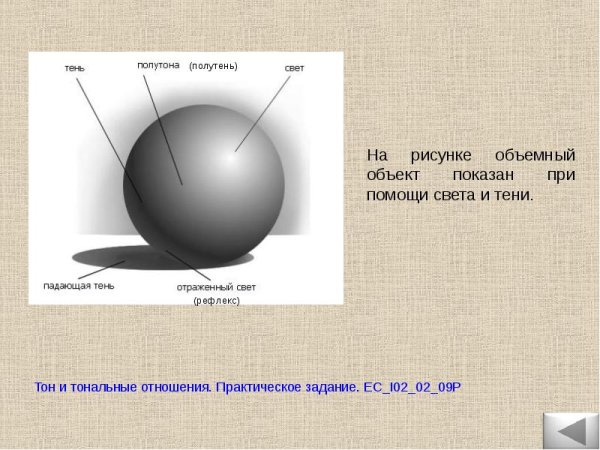 Тон полутон рефлекс тень