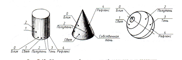 Схема тень полутень рефлекс