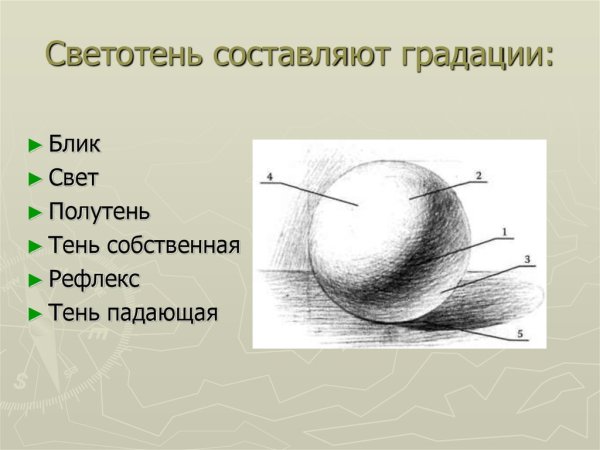 Градации светотени в рисунке